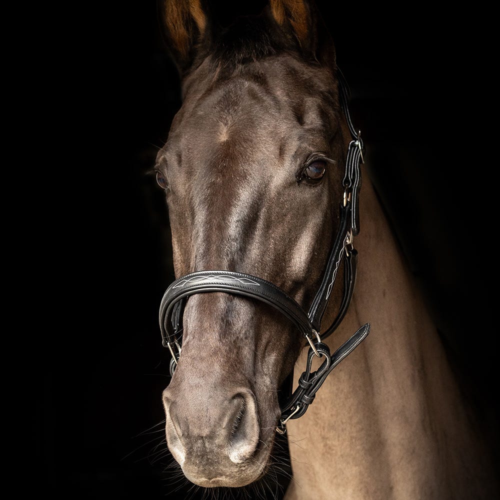 ProPresicce Softy Leather Head Collar by Hy Equestrian image 3